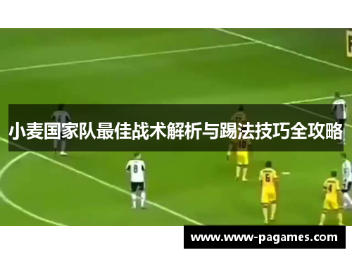 小麦国家队最佳战术解析与踢法技巧全攻略 小麦国家队最佳战术解析与踢法技巧全攻略