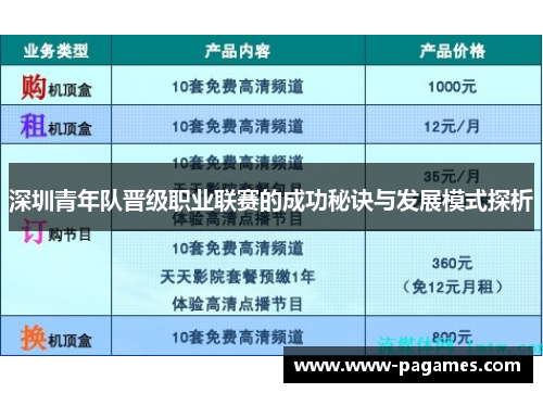 深圳青年队晋级职业联赛的成功秘诀与发展模式探析