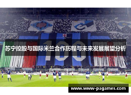 苏宁控股与国际米兰合作历程与未来发展展望分析
