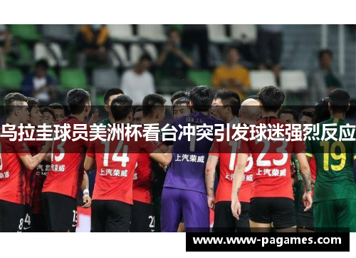 乌拉圭球员美洲杯看台冲突引发球迷强烈反应