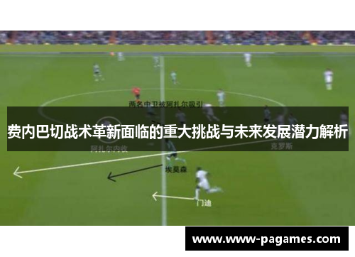 费内巴切战术革新面临的重大挑战与未来发展潜力解析